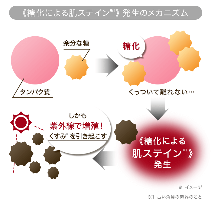 糖化に夜肌ステイン発生のメカニズム